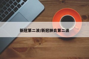 新冠第二波/新冠肺炎第二波